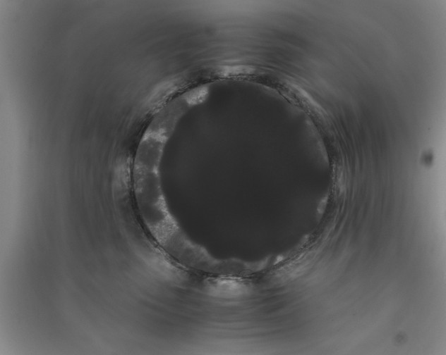 X0000090860475200708171609