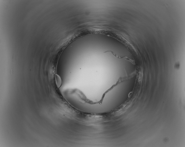 X0000090860476200708171609