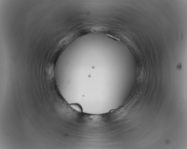 X0000090860478200708171609
