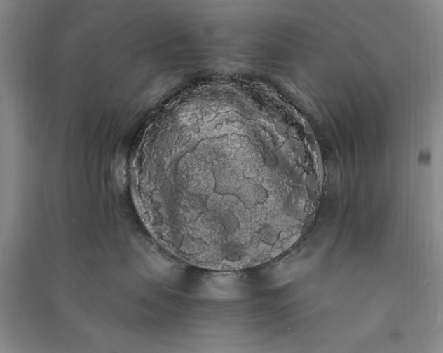 X0000090860479200708171609