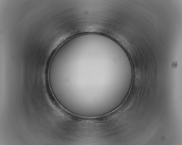 X0000090860482200708171608
