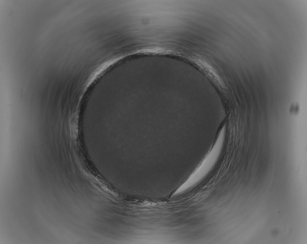 X0000090860484200708171608