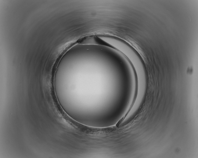 X0000090860485200708171608