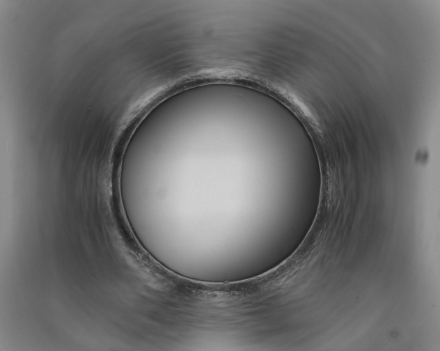 X0000090860486200708171608