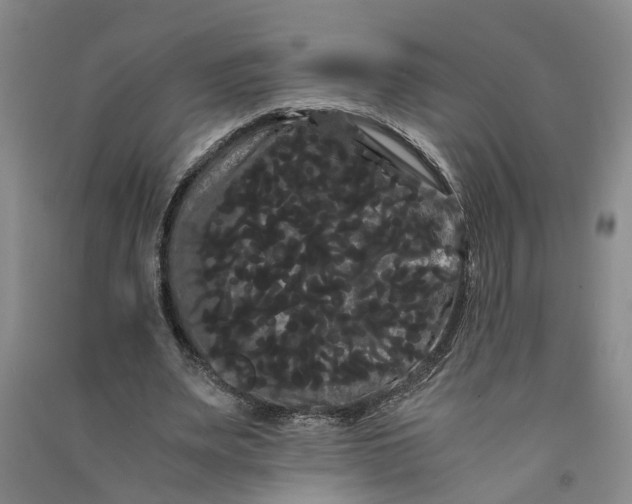 X0000090860487200708171608