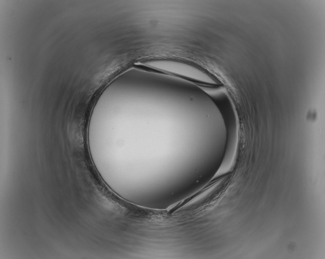 X0000090860489200708171608
