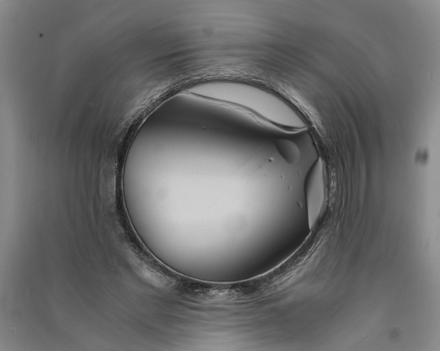 X0000090860493200708171608