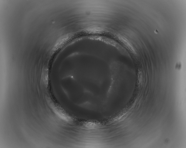 X0000090860494200708171608