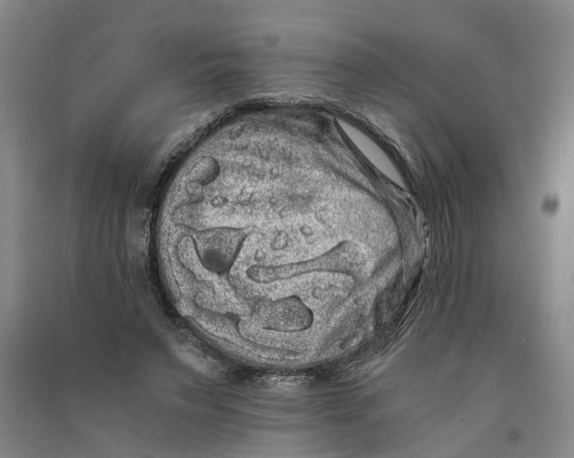X0000090860495200708171608