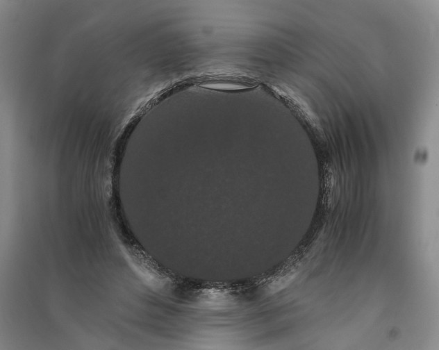 X0000090860496200708171608