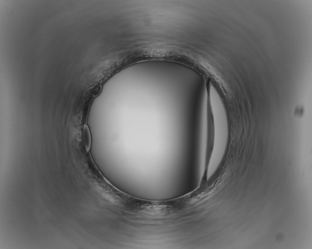 X0000090860497200708171608