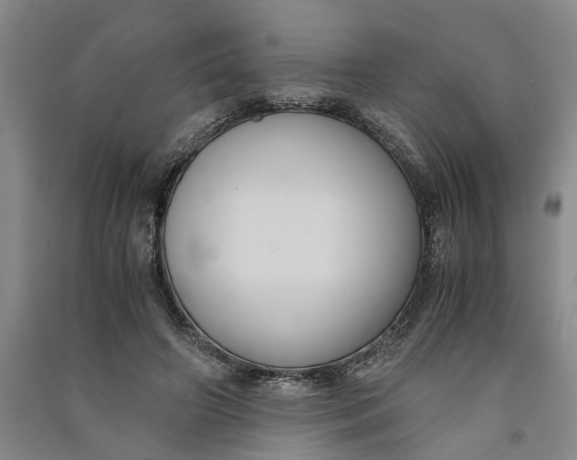 X0000090860498200708171608