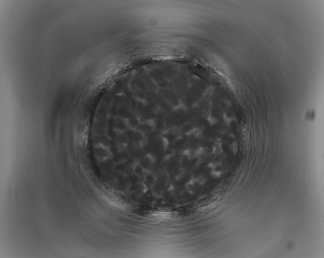 X0000090860499200708171608