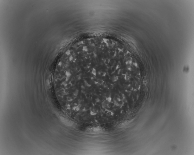 X0000090860503200708171608