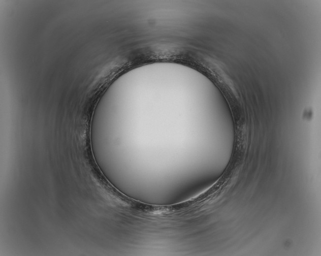X0000090860505200708171608