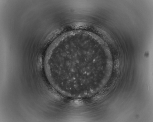 X0000090860506200708171608