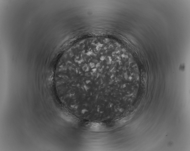 X0000090860507200708171608