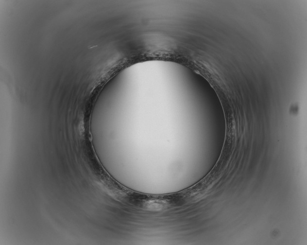 X0000090860508200708171608