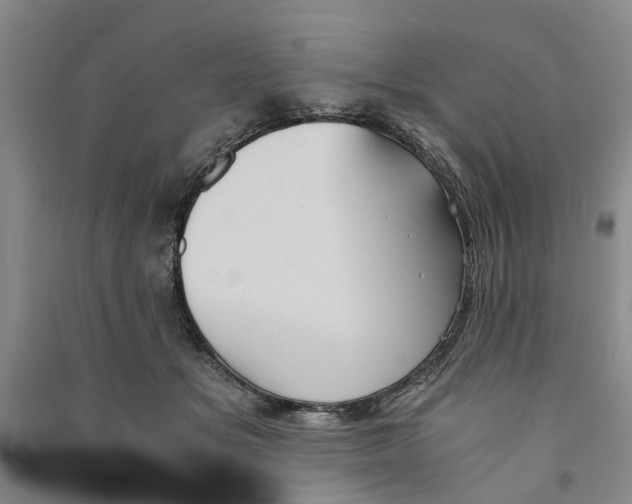 X0000090860509200708171608