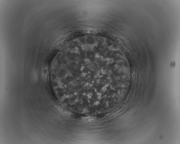 X0000090860511200708171608