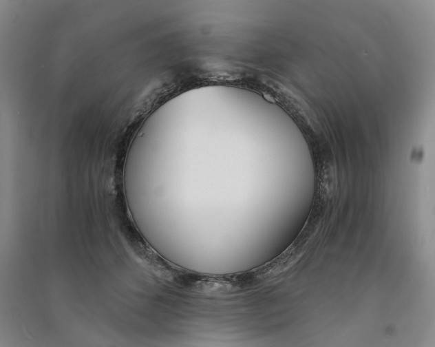 X0000090860512200708171608