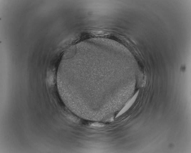 X0000090860515200708171608