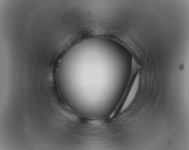 X0000090860516200708171607
