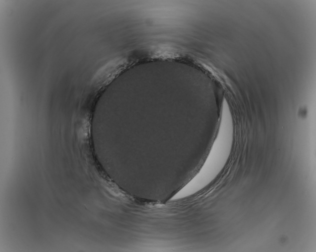 X0000090860517200708171607