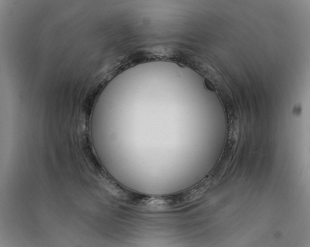 X0000090860518200708171607
