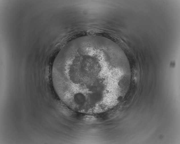 X0000090860519200708171607