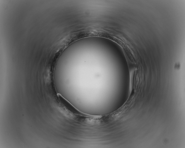 X0000090860520200708171607