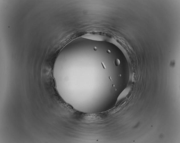 X0000090860521200708171607