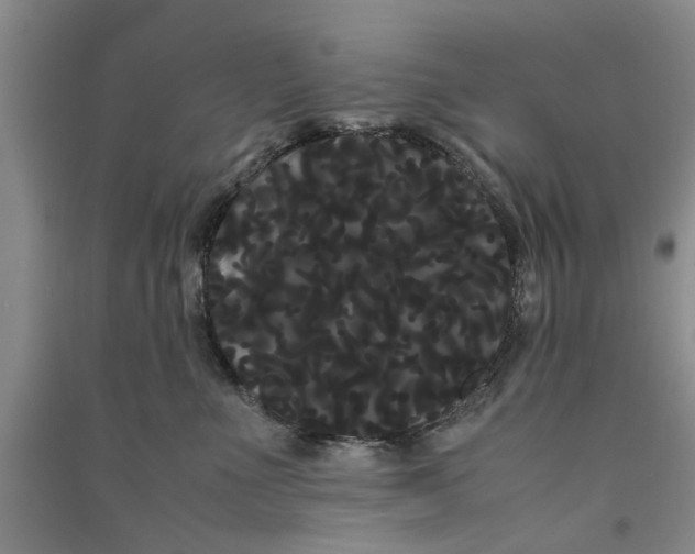 X0000090860523200708171607