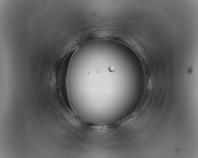 X0000090860524200708171607