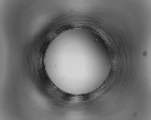 X0000090860525200708171607