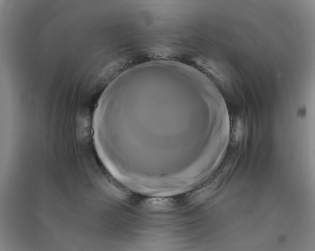 X0000090860526200708171607