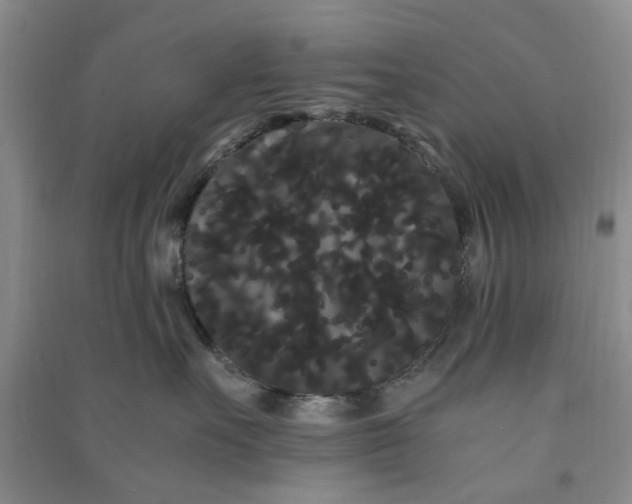 X0000090860527200708171607