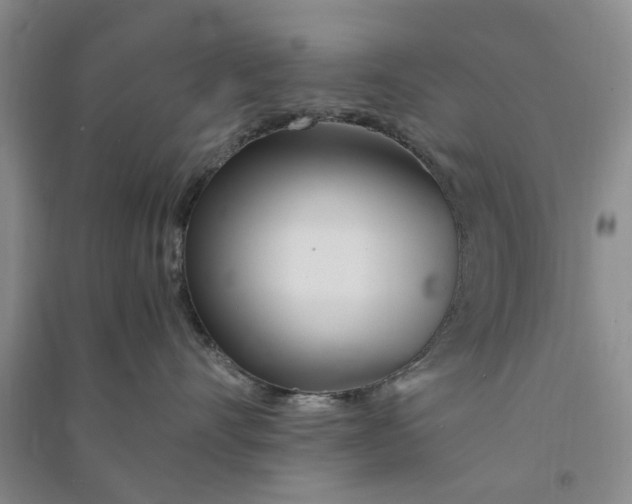X0000090860528200708171607