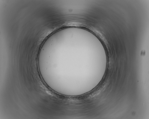 X0000090860529200708171607