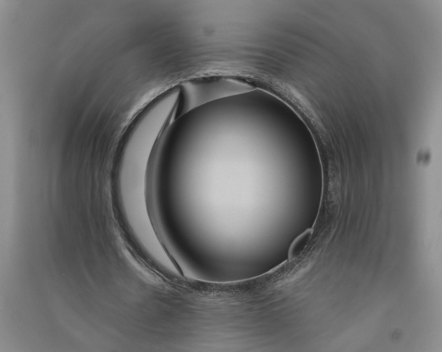 X0000090860530200708171607