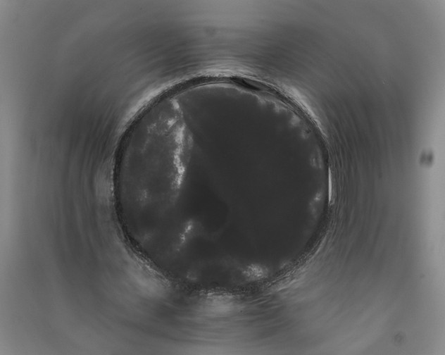 X0000090860531200708171607