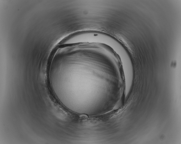 X0000090860532200708171607