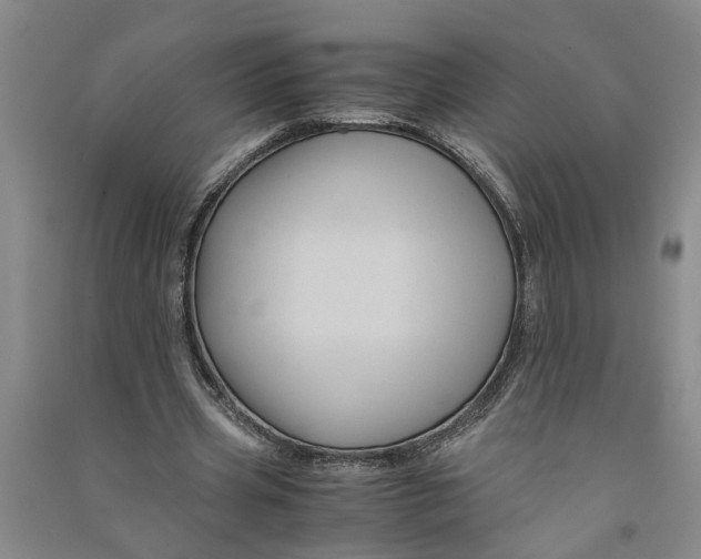 X0000090860533200708171607