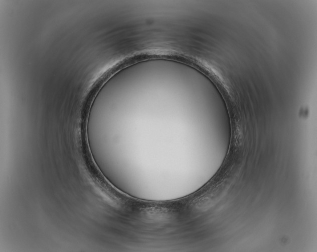 X0000090860535200708171607