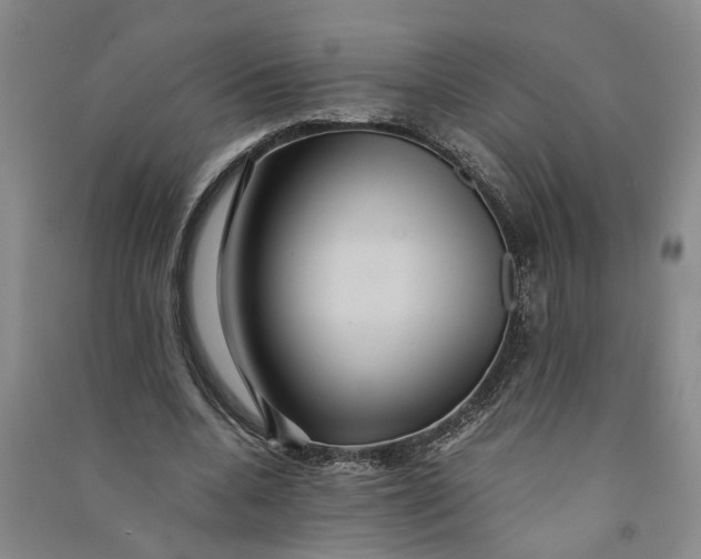 X0000090860536200708171607