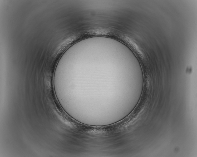 X0000090860537200708171607