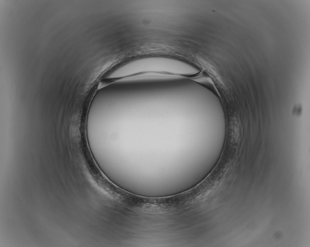 X0000090860538200708171607