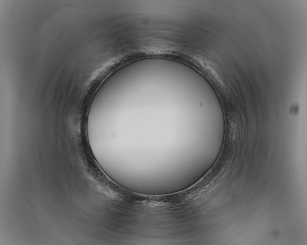 X0000090860539200708171607