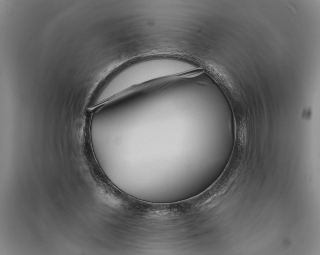 X0000090860540200708171607
