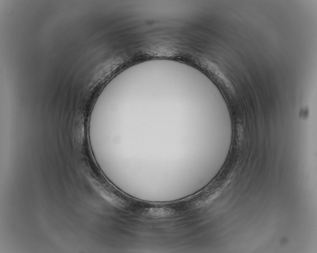 X0000090860541200708171607